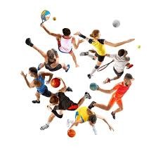 澳门博彩股2025年最后交易日集体收涨