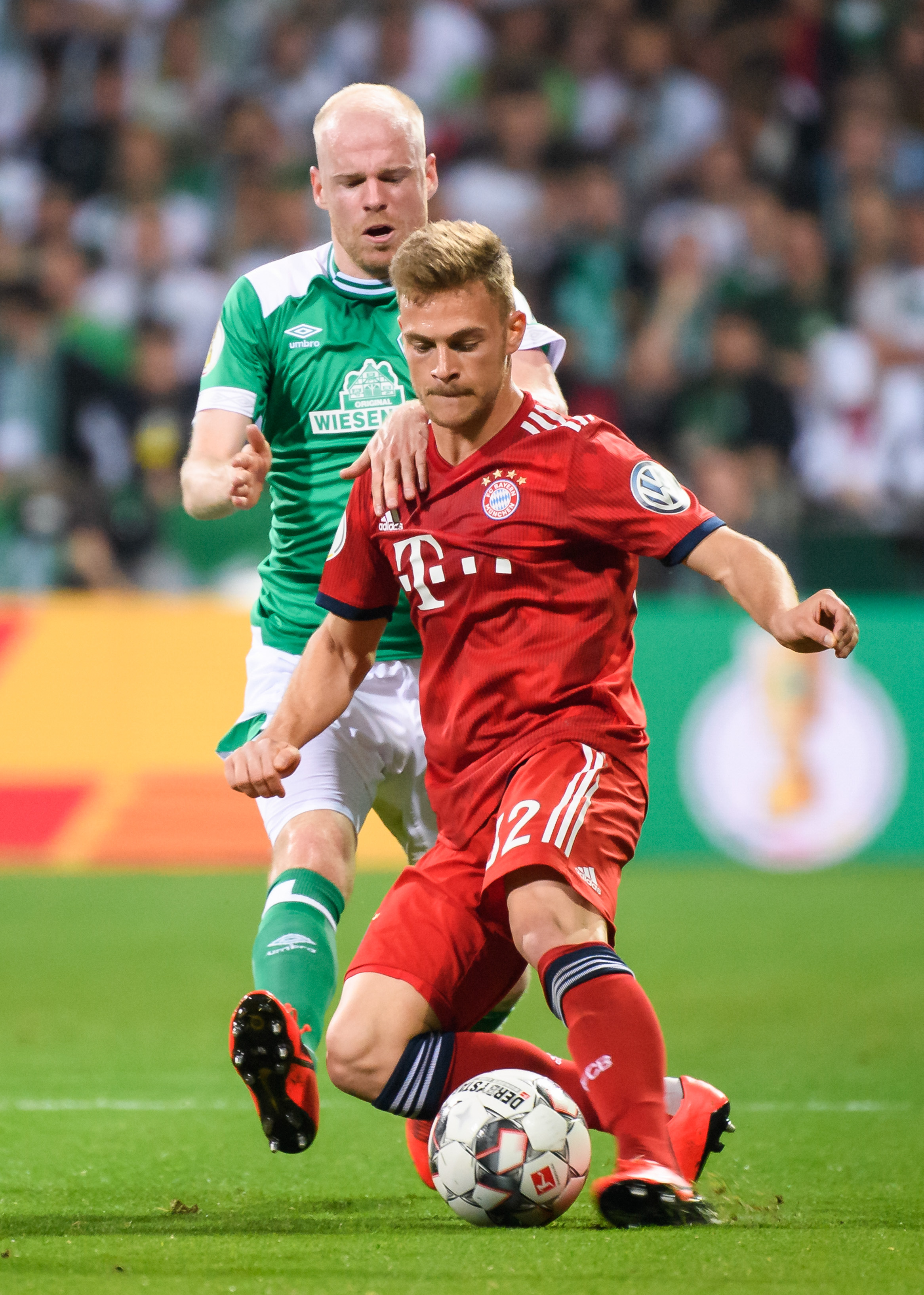 这种温暖的 这种温暖的