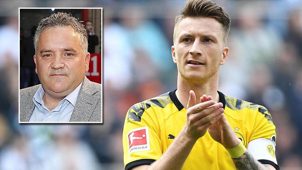 威尔逊的第 威尔逊的第