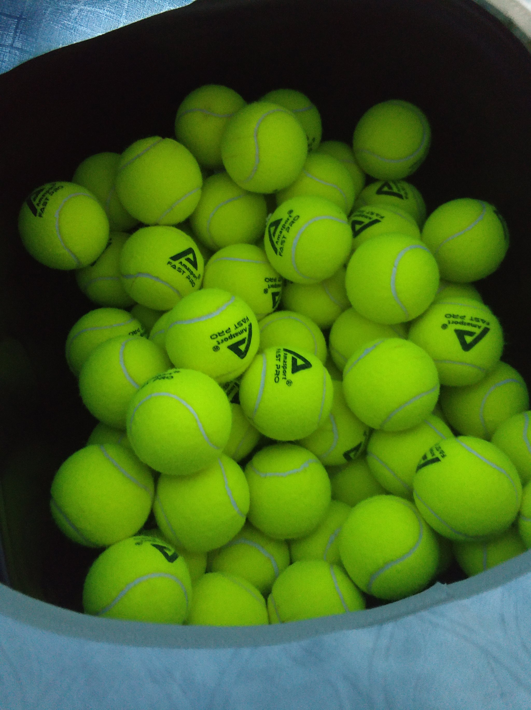 他试图将争 他试图将争